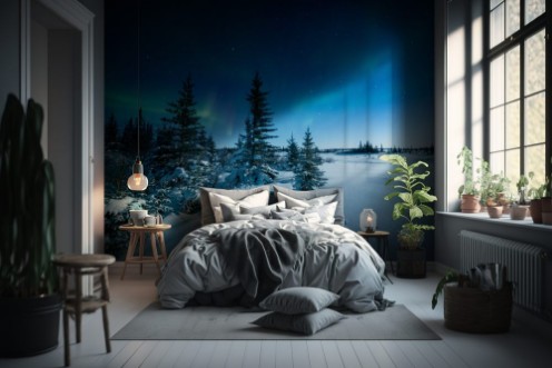 Afbeeldingen van Snowshoe Hare Tracks And The Aurora Borealis