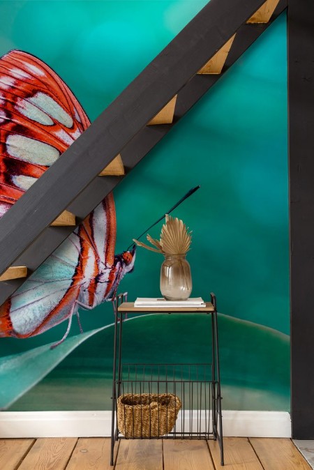 Afbeeldingen van Butterfly