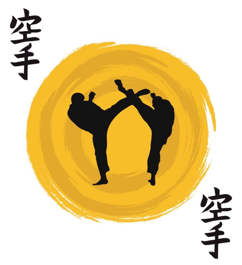 Picture of Karate Mural