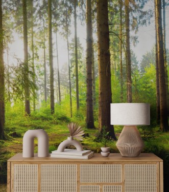 Picture of Panoramic German Forest