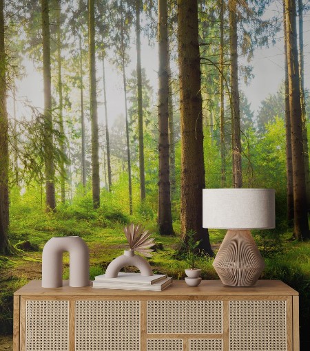 Image de Panoramic German Forest