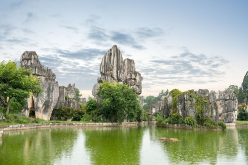 Picture of Stone forest scenic