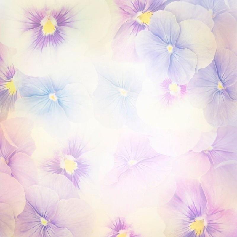 Picture of Violet Flowers Background