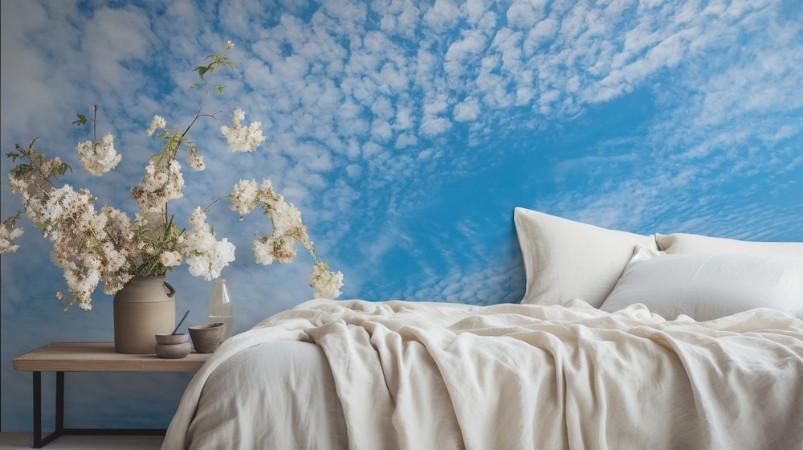 Picture of Patchy Cloudwalk