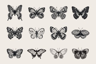 Obrázek Butterfly Collage