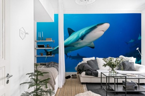 Afbeeldingen van Shark in Bahamas