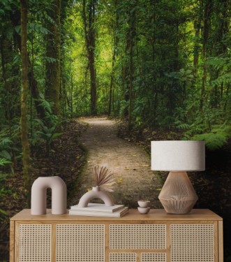 Picture of Jungle path