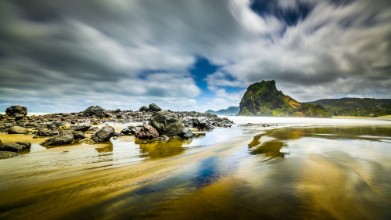 Ritratt ta’ Piha Beach and Lion Rock