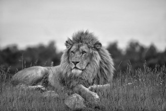 Image de Man its been a long day