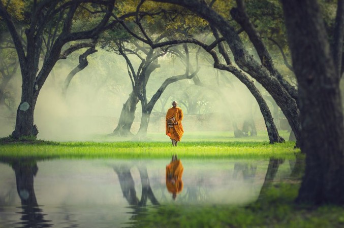 Bild på Monk hike in deep forest reflection with lake Buddha Religion c