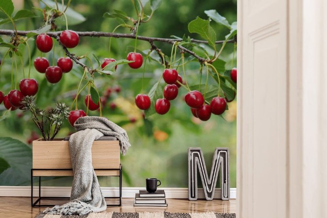 Picture of Cherry on a branch in the garden