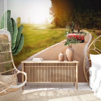 Picture of Classic red convertible car traveling in the countryside at sunset