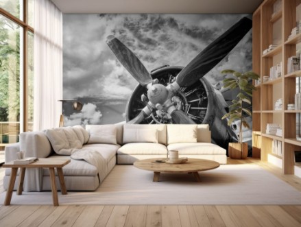 Afbeeldingen van Close up of old airplane in black and white