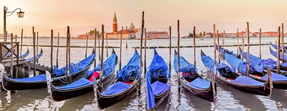 Bild von Venise grand canal