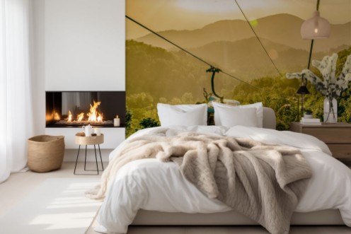 Afbeeldingen van Seilbahn Gondel im Regenwald