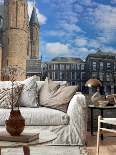 Picture of Binnenhof