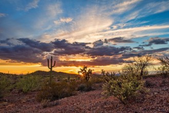 Bild von Arizona desert sunset