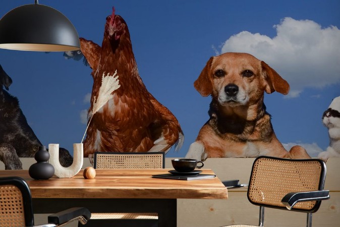 Picture of Farm Friends