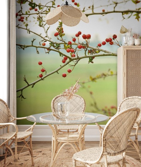 Picture of Rode bessen