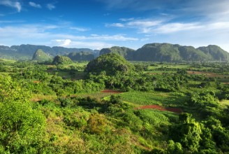 Picture of Landscape of valley of VinalesCuba