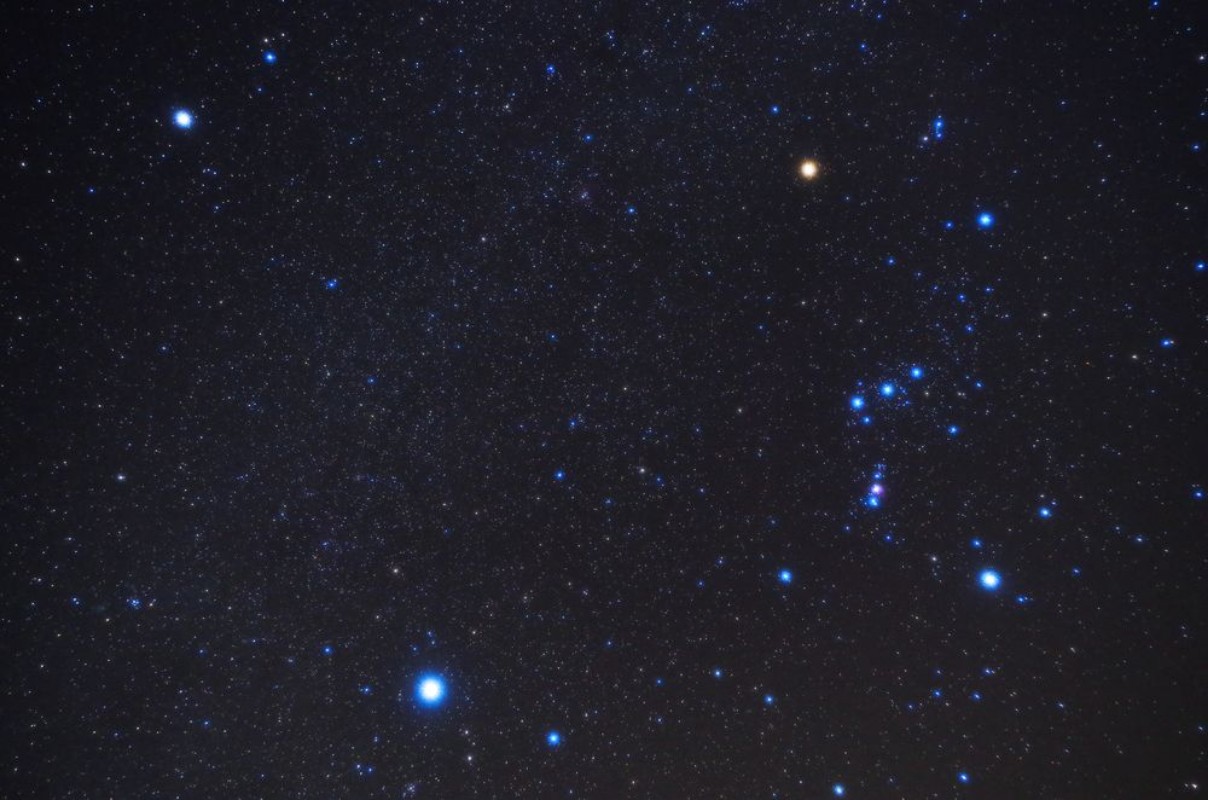 Picture of 125953783