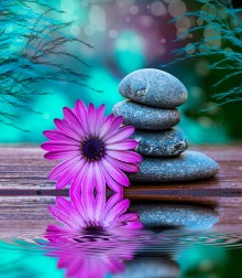 Image de Spa y relax