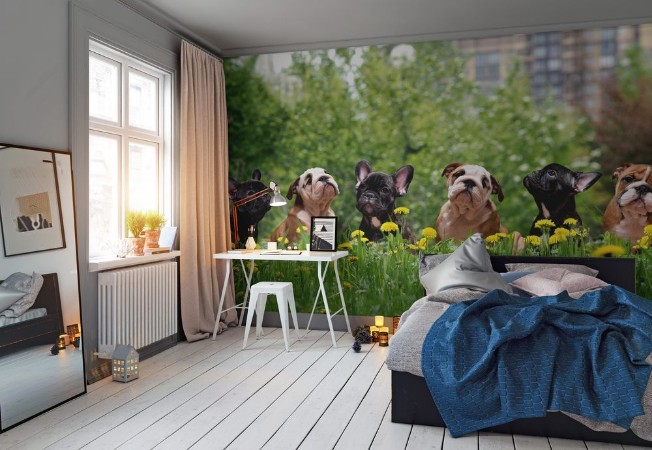 Afbeeldingen van Tall grass among dandelions Lovely dogs Puppies English and French bulldog in public park