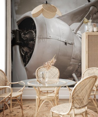 Afbeeldingen van Engine and propeller close up from retro airplane