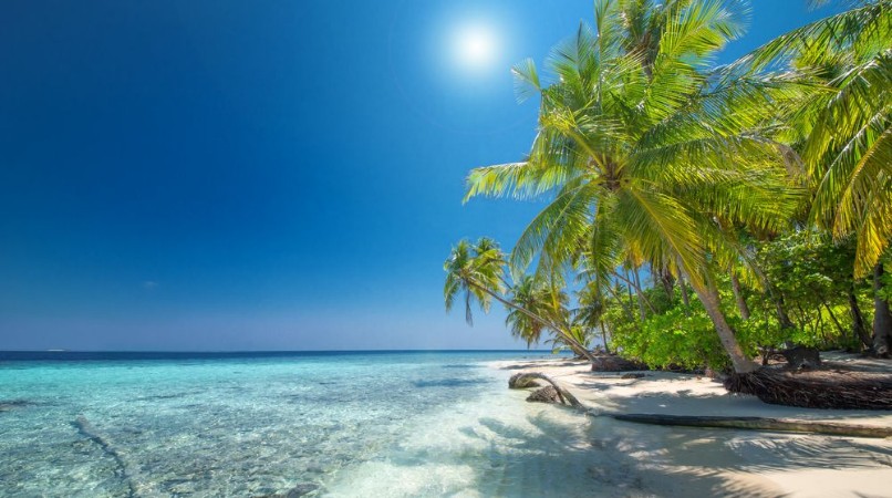 Picture of Traumstrand