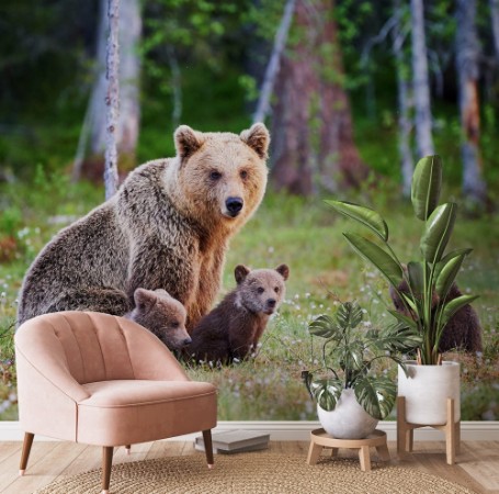 Picture of Mama Bear