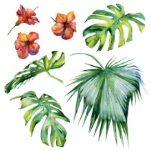 Obrázek Tropical Diversion