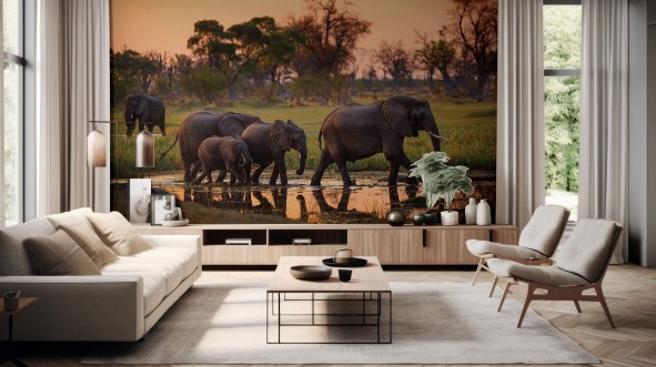 Afbeeldingen van Botswaanse wilde dieren