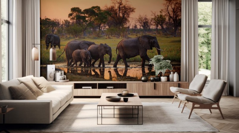 Picture of Botswansk dyreliv