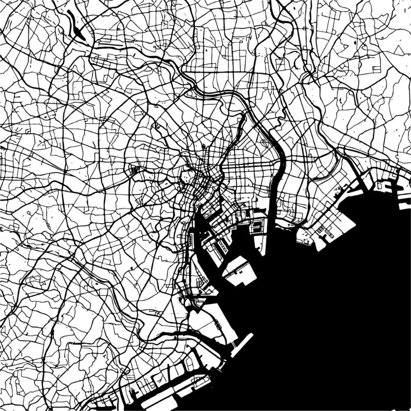 Picture of Tokyo Japan Monochrome Map Artprint