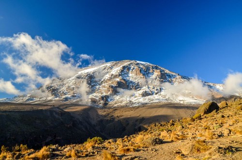 Picture of Stunning evening view of Kibo with Uhuru Peak 5895m amsl highest mountain in Africa at Mount KilimanjaroKilimanjaro National Parkseen from Karanga Camp at 3995m amsl Snow and glaciers on summit