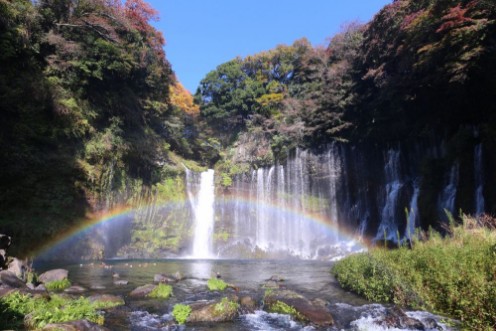 Afbeeldingen van 127443324