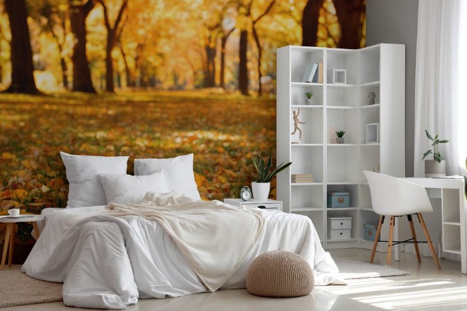 Afbeeldingen van Central Park Autumn