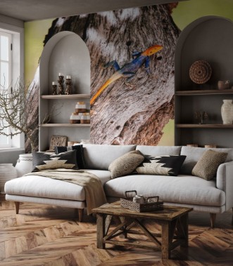 Afbeeldingen van Mnnliche Siedleragame auf Baum Erongogebirge Namibia