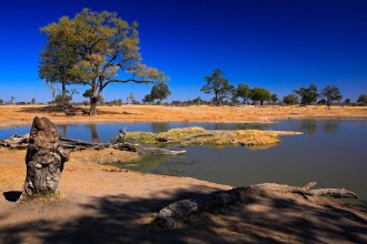Afbeeldingen van Water hole in Africa Tipical African ladscape with dark blue sky Water lake in Botswana Trees with pond