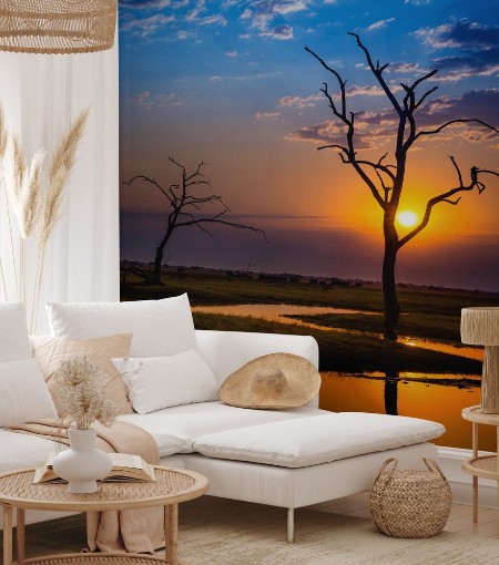 Image de Botswansk solnedgång