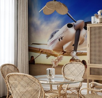 Image de Airplane against a sunset