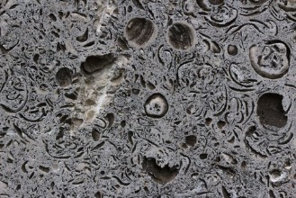 Bild von Patterns on the rock