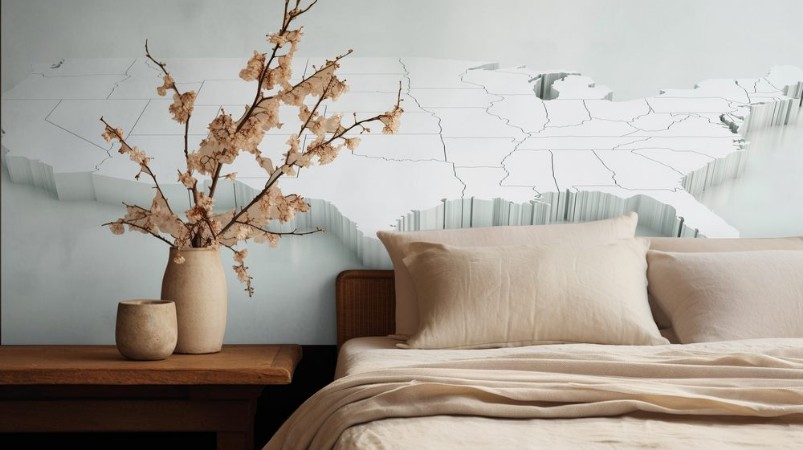 Picture of Map of USA Highly detailed 3D rendering