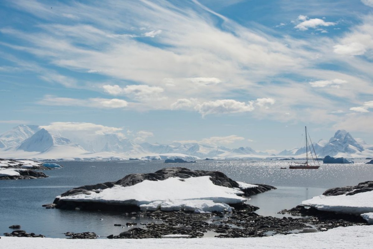 Picture of Sailing in Antarctica