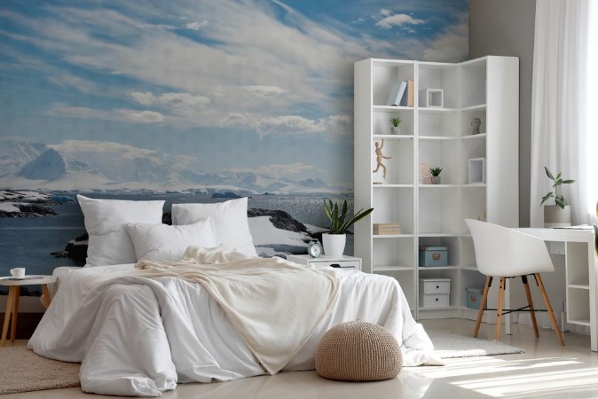 Obrázok z Sailing in Antarctica