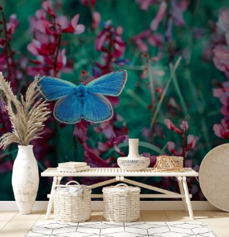 Afbeeldingen van Butterfly