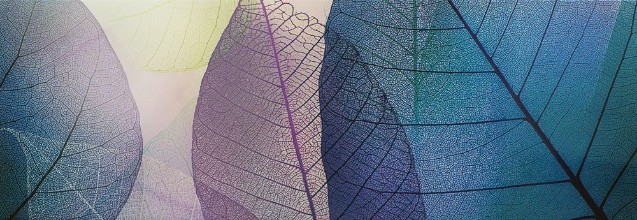 Bild von Tile transparent leaves