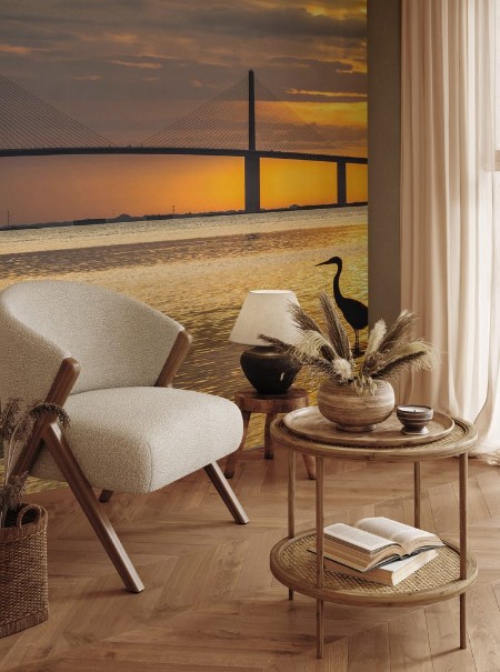 Image de Great Blue Heron silhouetted at sunrise - St Petersburg Florid