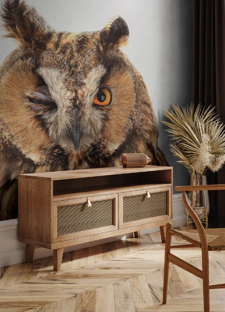 Afbeeldingen van Portrait owl