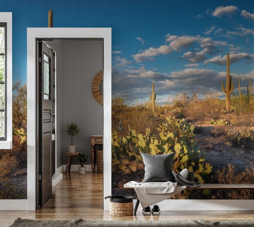 Bild på Saguaro Sunset